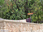 Panoramafoto Chios stad foto 2 - Eiland Chios