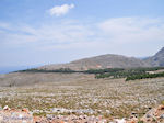 Kale natuur met af en toe bossen foto 2 - Eiland Chios