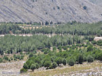 Overal rotsen, in het midden een bos - Eiland Chios