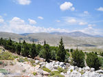 Bossen op de rotsen van noord Chios - Eiland Chios