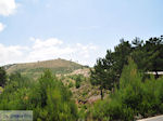 Ergens tussen Chios stad en Volissos - Eiland Chios