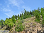 Aan de westkust - Eiland Chios