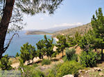 De stille westkust - Eiland Chios