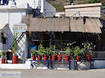 Bloempotten bij visrestaurant Emborios - Eiland Chios