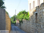 Kambos, hoge muren overal foto 2 - Eiland Chios